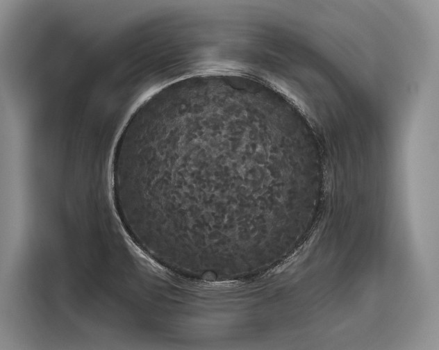 X0000116851471200912221109