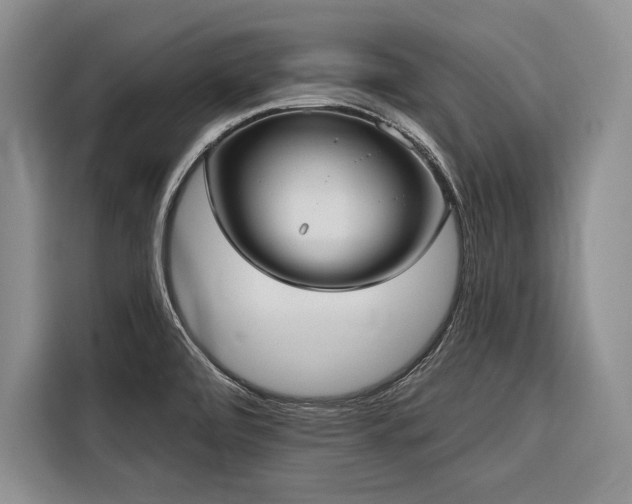 X0000116851472200912221109