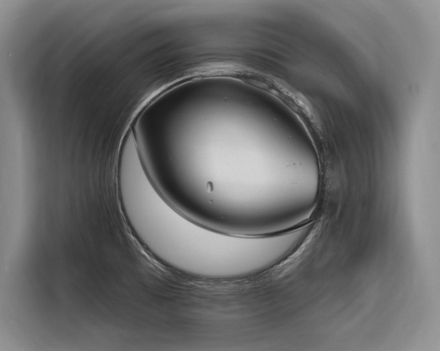 X0000116851473200912221109