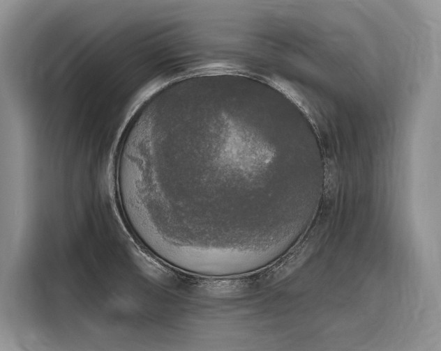 X0000116851474200912221109