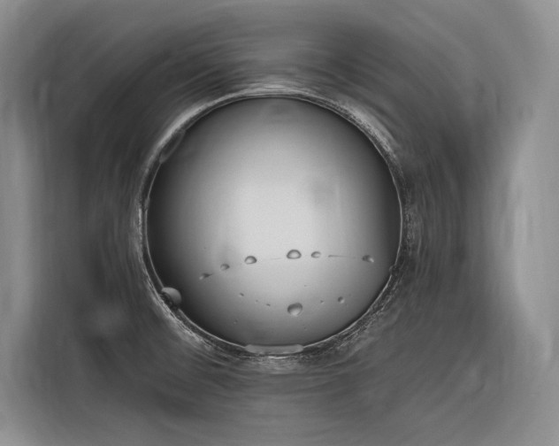 X0000116851476200912221109