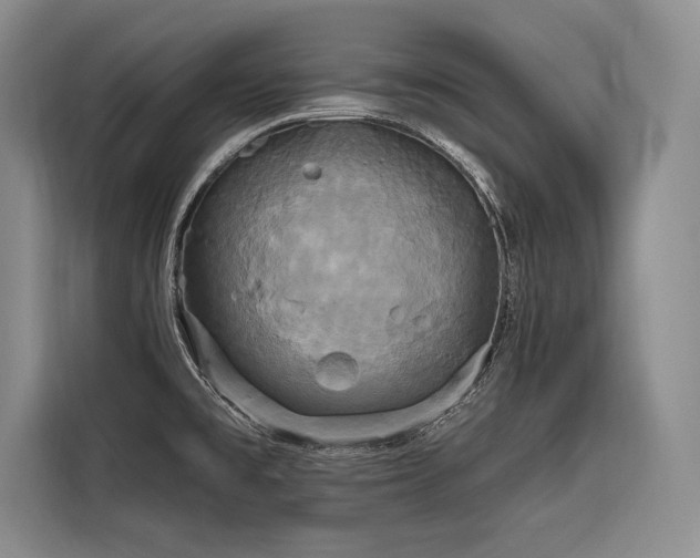 X0000116851477200912221109