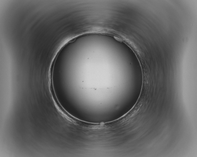 X0000116851479200912221109