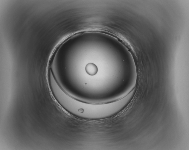X0000116851480200912221109
