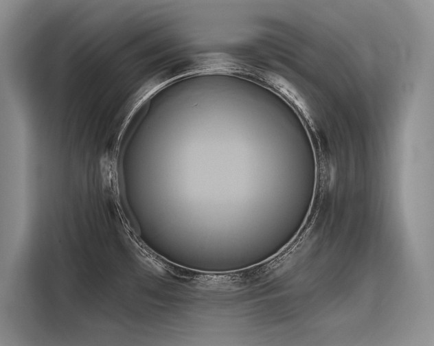 X0000116851481200912221109