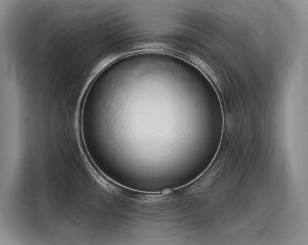 X0000116851482200912221109