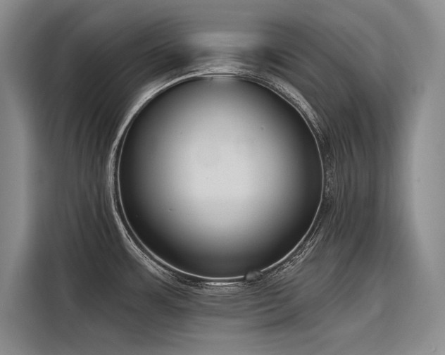 X0000116851483200912221109