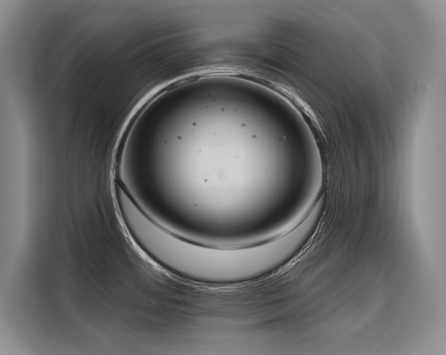 X0000116851484200912221109