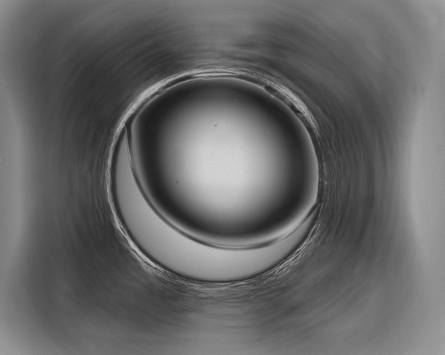 X0000116851485200912221109