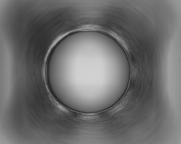 X0000116851486200912221109