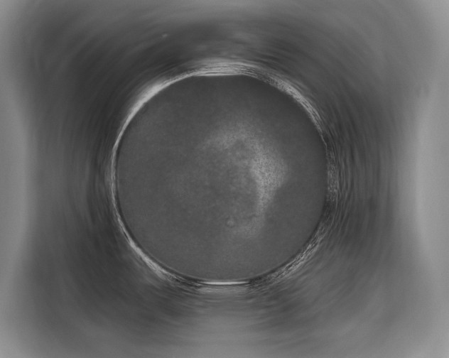 X0000116851487200912221109