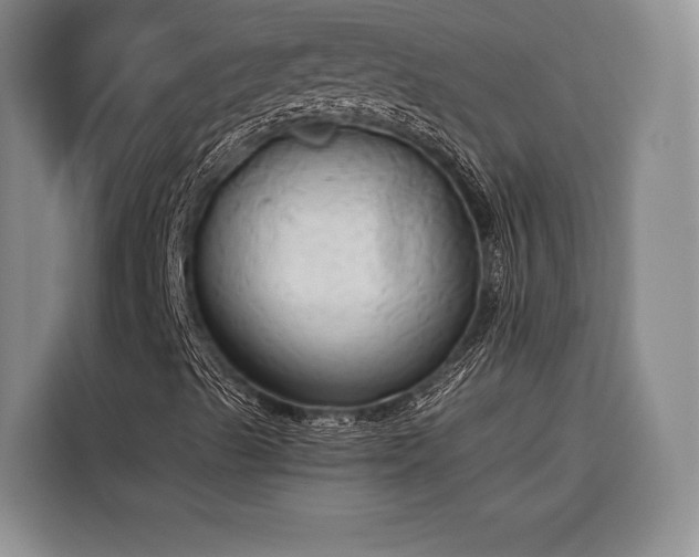 X0000116851489200912221108