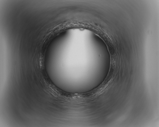 X0000116851490200912221108