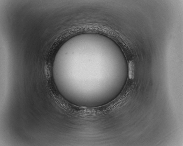 X0000116851491200912221108