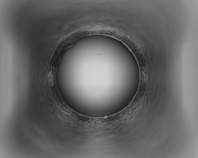 X0000116851493200912221108