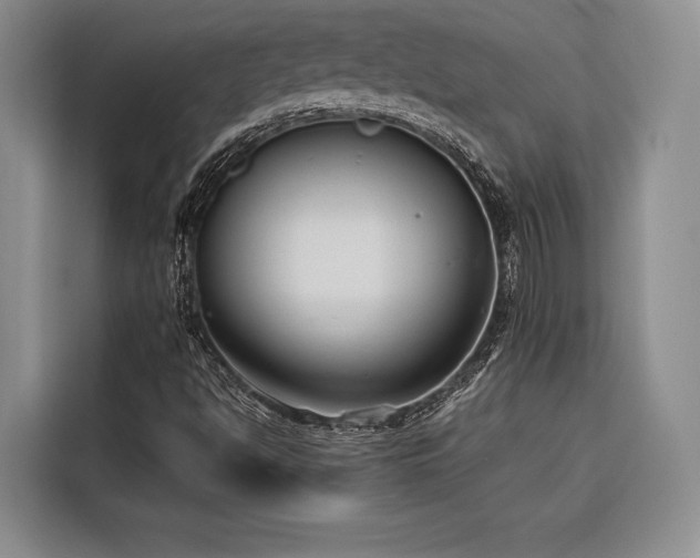 X0000116851494200912221108