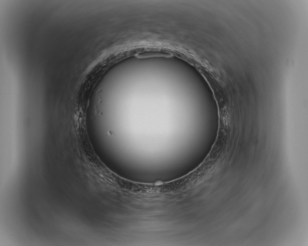 X0000116851495200912221108