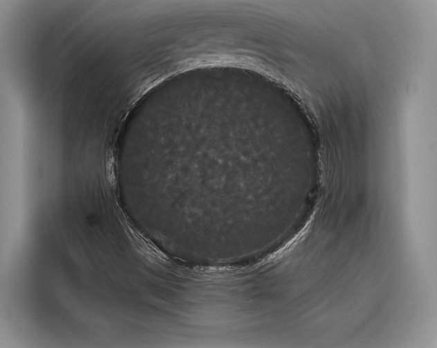 X0000116851497200912221108
