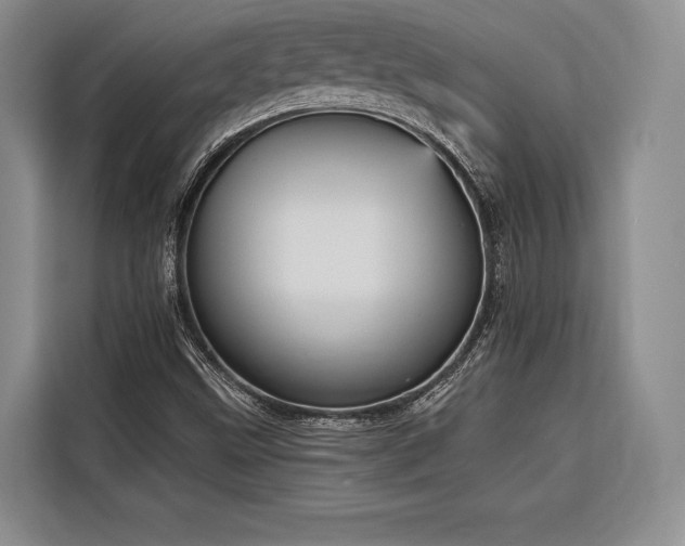 X0000116851499200912221108