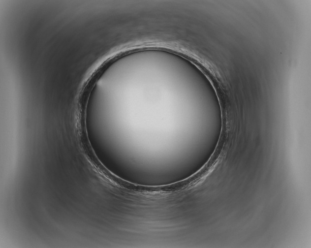 X0000116851502200912221108
