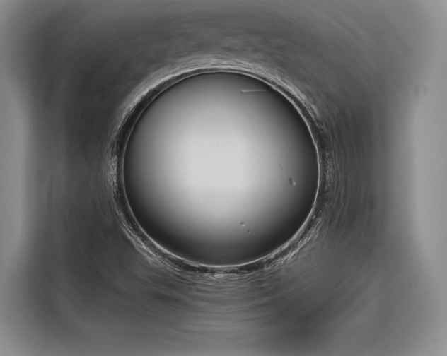 X0000116851503200912221108