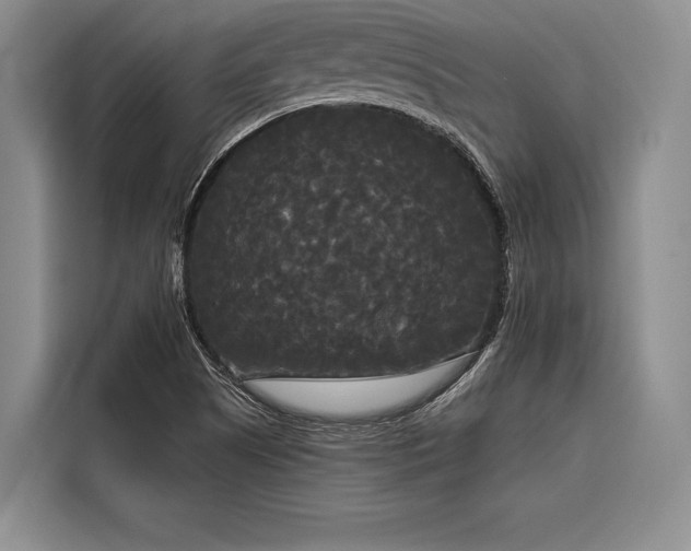 X0000116851505200912221108