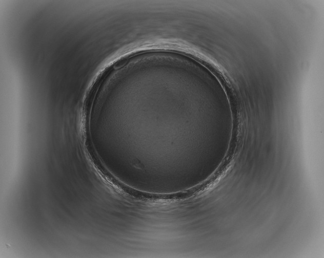 X0000116851506200912221108