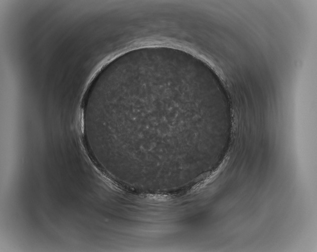 X0000116851509200912221108