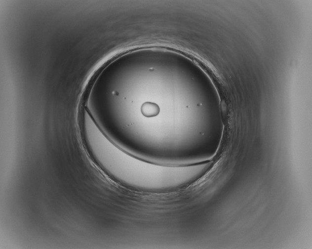 X0000116851510200912221108