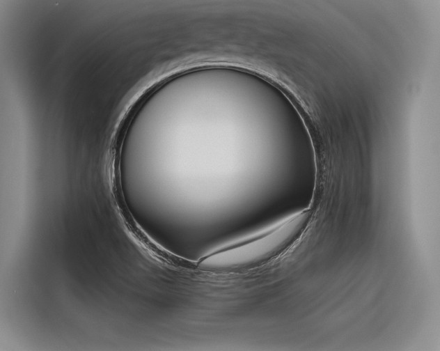 X0000116851511200912221108