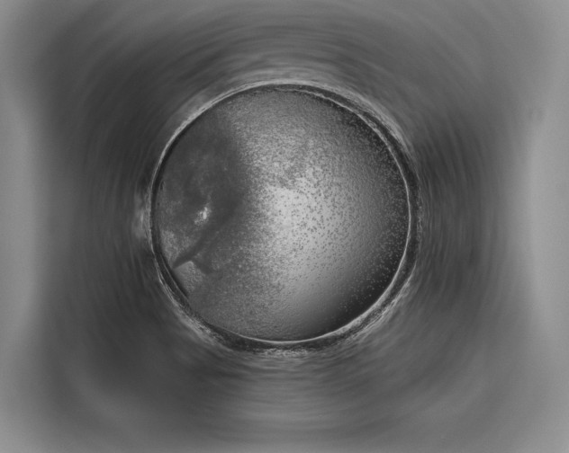 X0000116851513200912221108