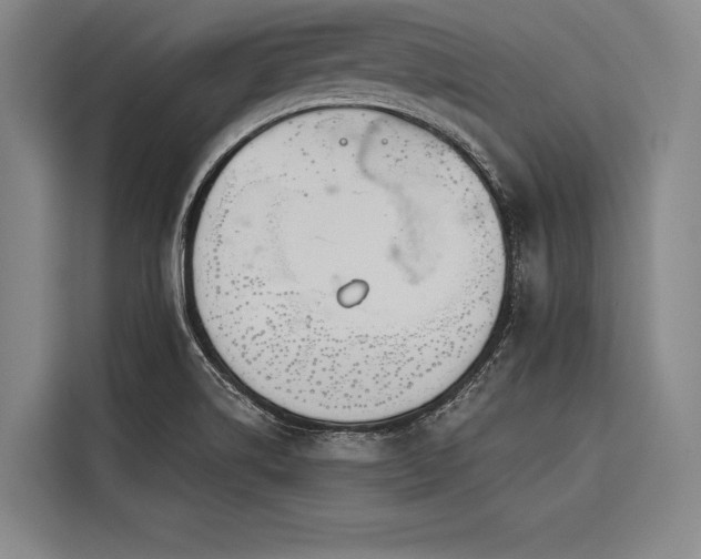 X0000116851514200912221108