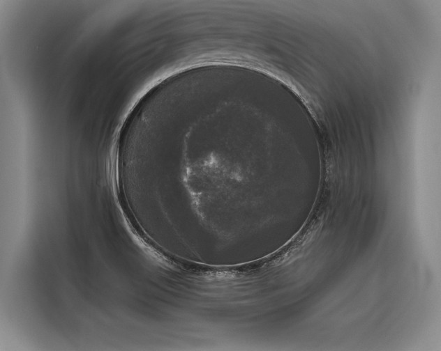 X0000116851515200912221108