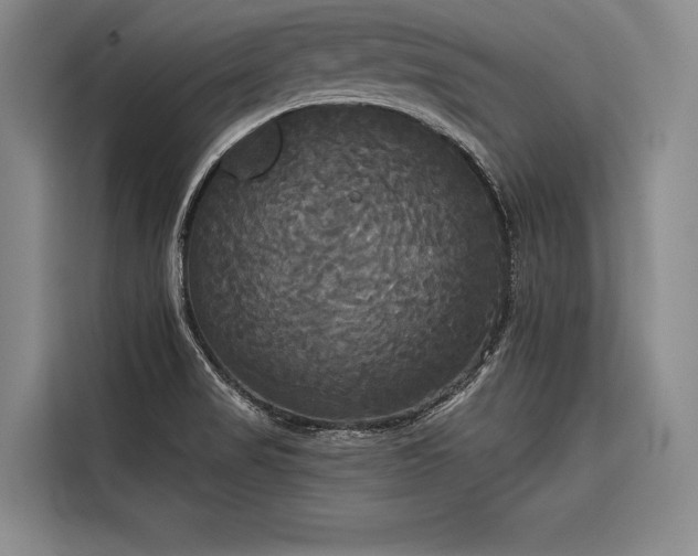 X0000116851517200912221108