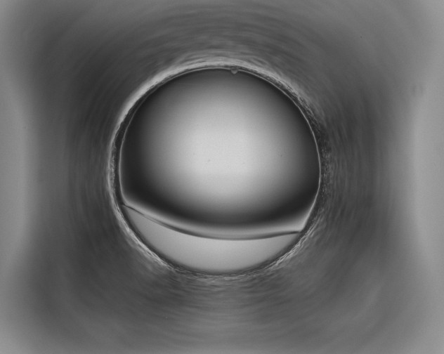 X0000116851518200912221108