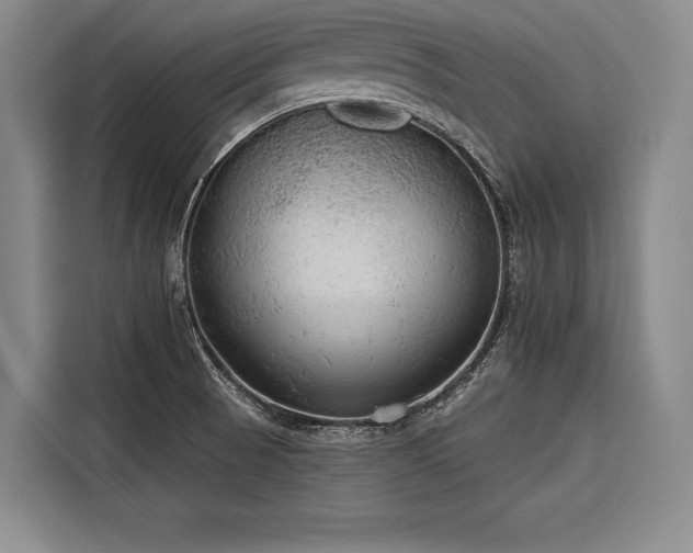 X0000116851521200912221109