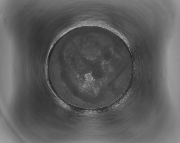 X0000116851525200912221109
