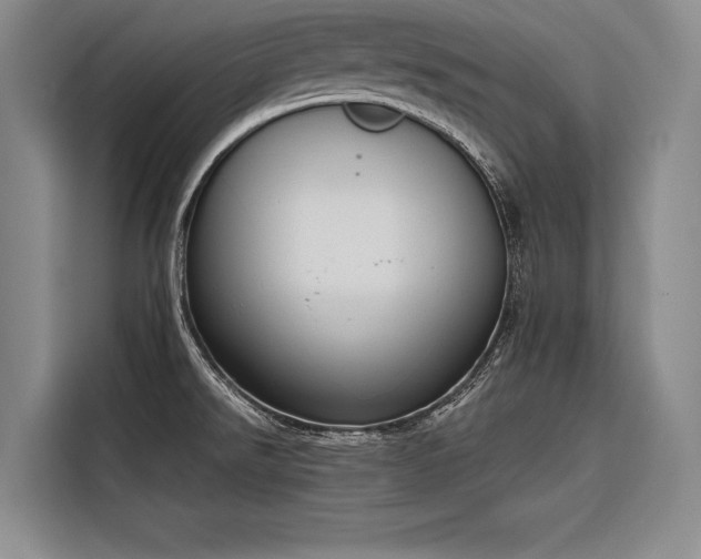 X0000116851526200912221109