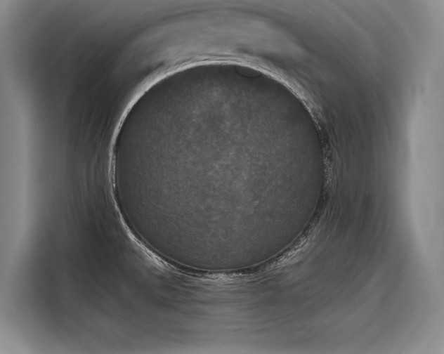 X0000116851527200912221109