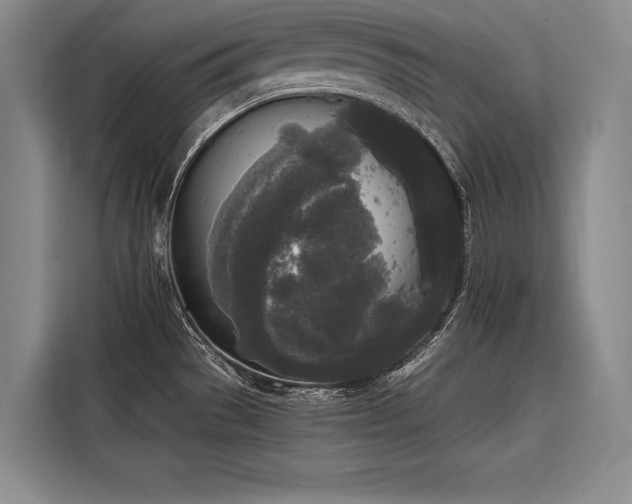 X0000116851529200912221109