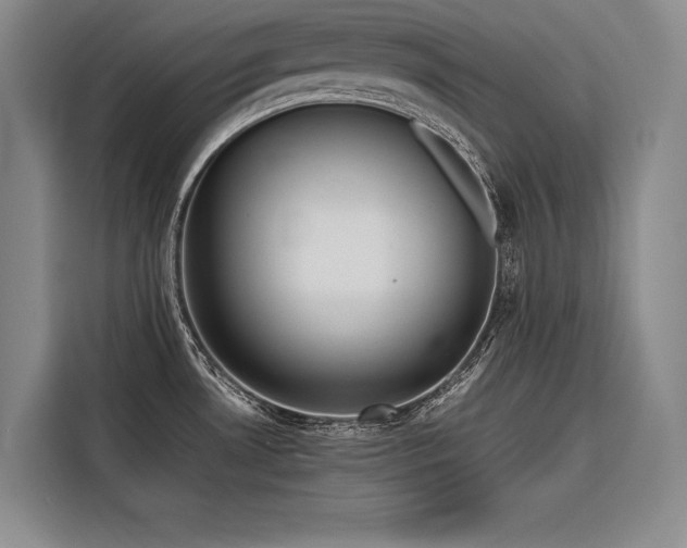 X0000116851530200912221109