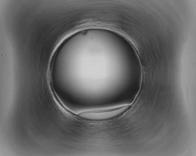 X0000116851531200912221109