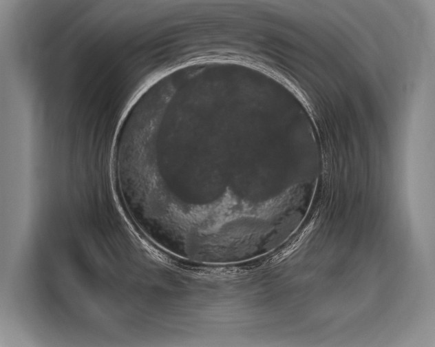 X0000116851533200912221109