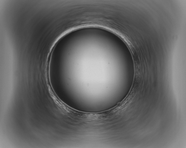 X0000116851534200912221109