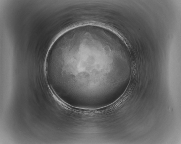 X0000116851535200912221109
