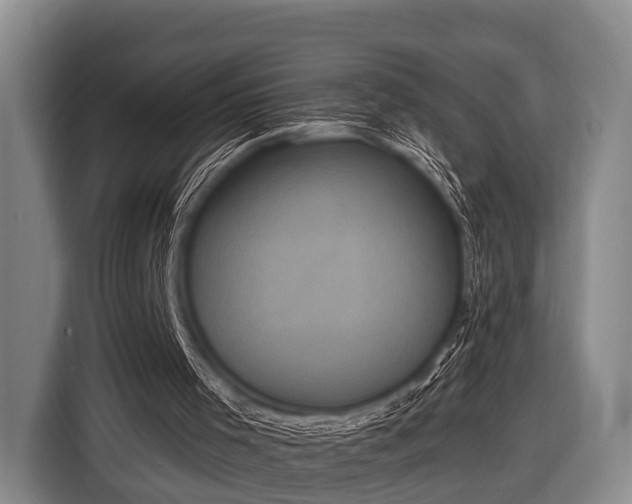 X0000116850001200912291249