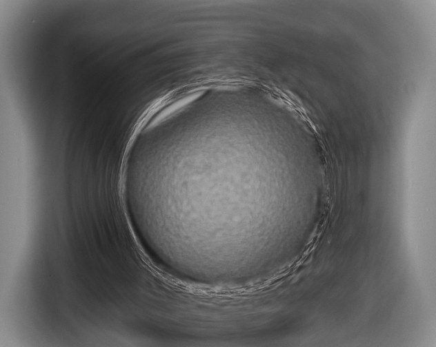 X0000116850003200912291249