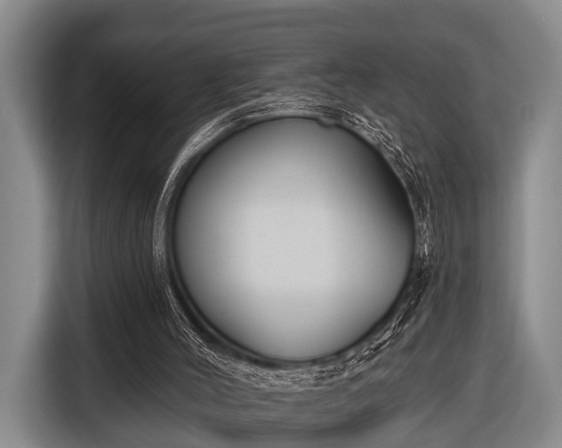 X0000116850004200912291249