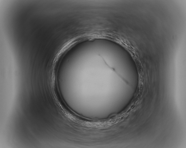 X0000116850005200912291249