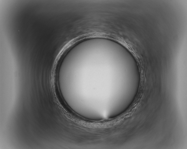X0000116850007200912291249